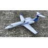 Learjet RR Multiplex